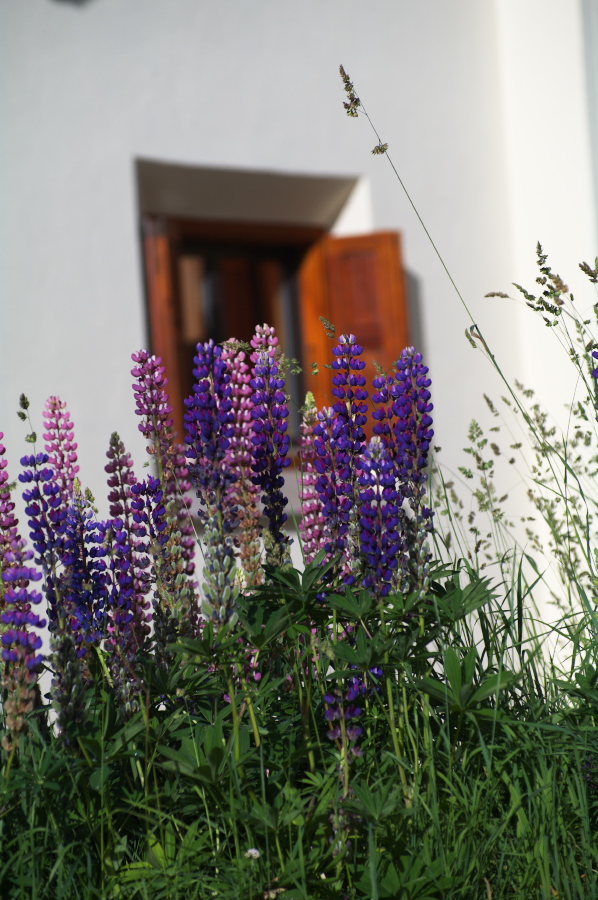 IMGP9891.jpg(334314 byte)