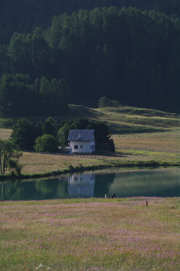 IMGP9895.jpg(297459 byte)