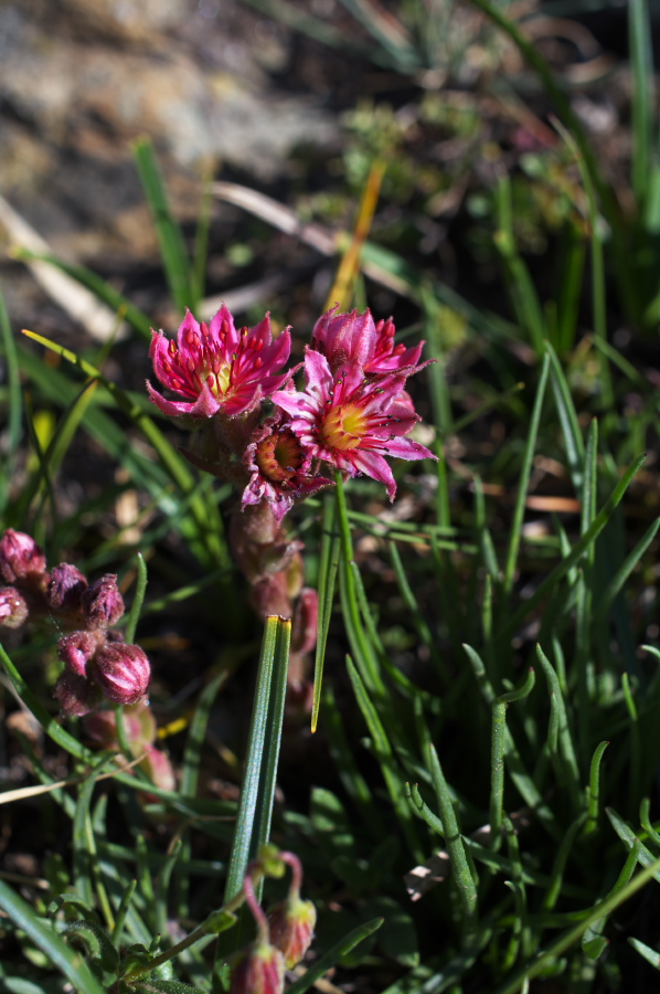 IMGP0847.jpg(253729 byte)