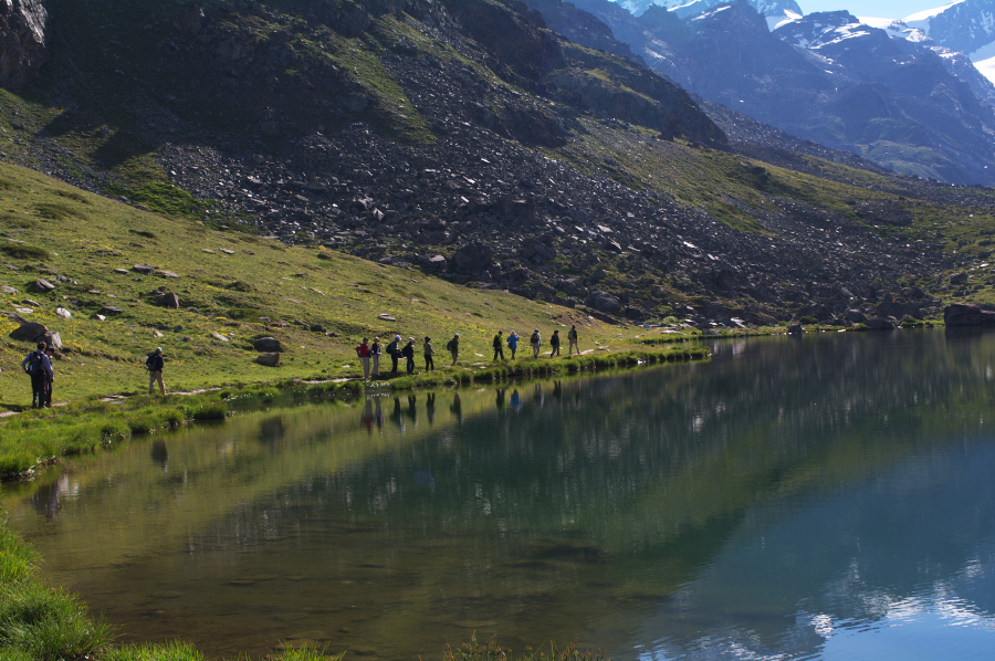 IMGP0867.jpg(361229 byte)