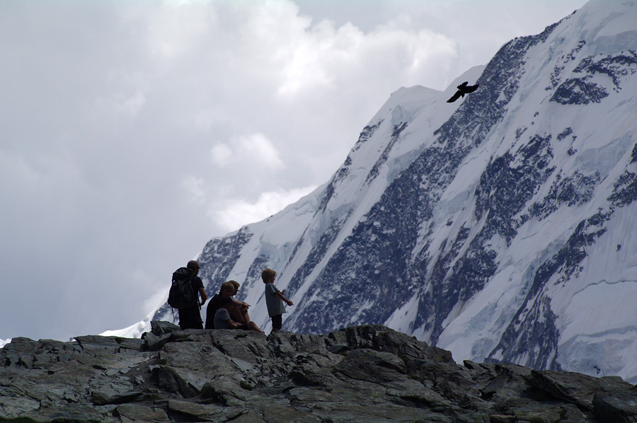 pic17.jpg(175990 byte)