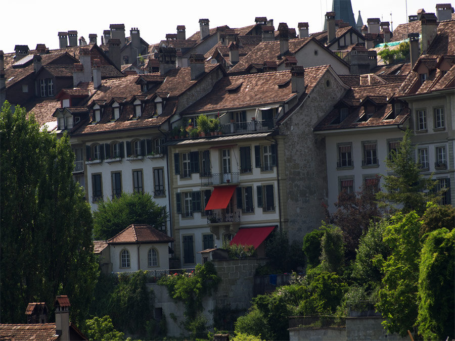 pic8.jpg(267087 byte)