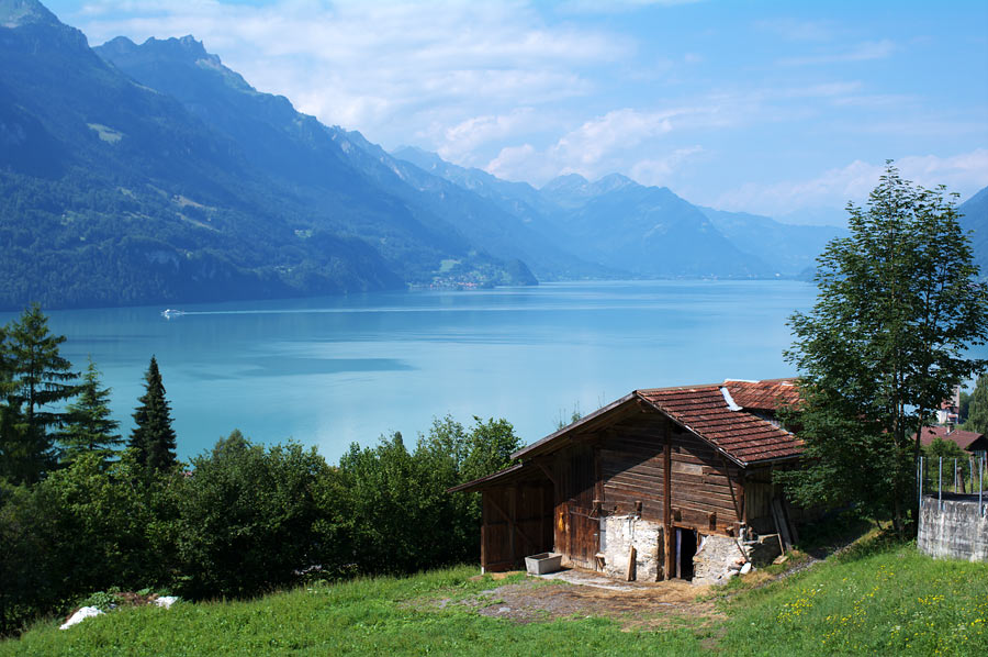 pic5.jpg(226886 byte)