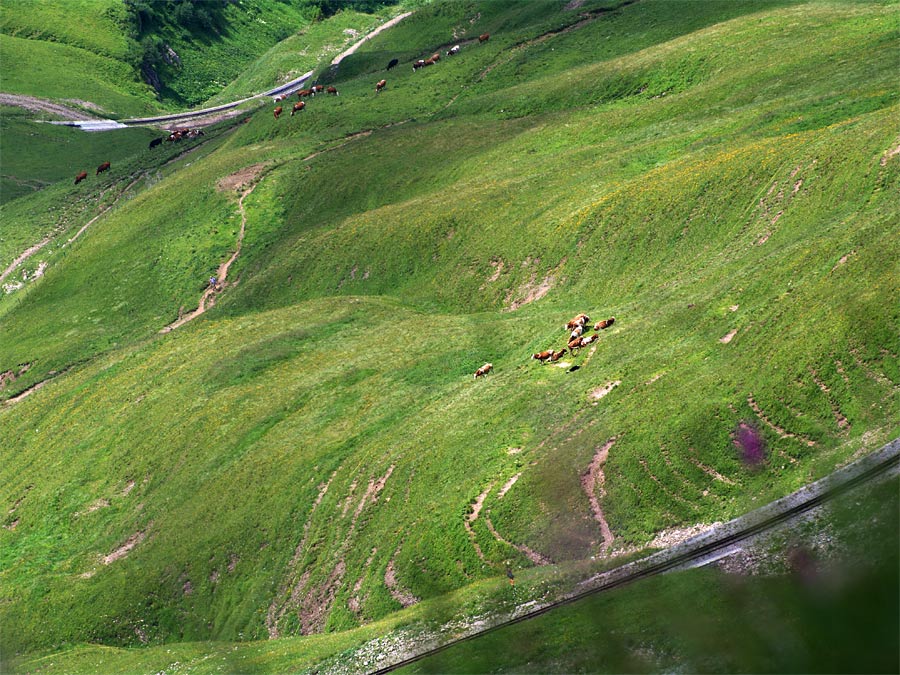 pic6.jpg(236762 byte)