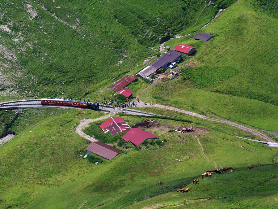 pic8.jpg(267087 byte)