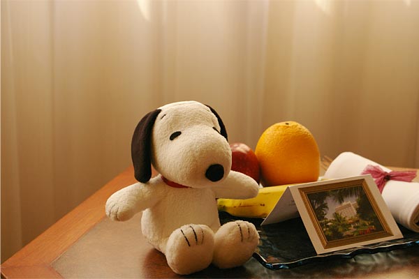 �}���_�����z�e���@�}�J�I