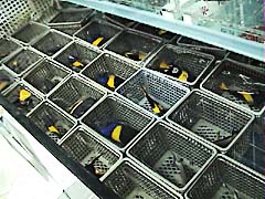 ���I���E